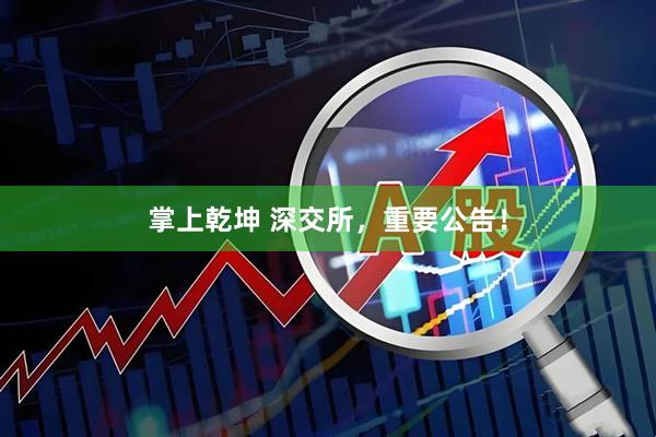 掌上乾坤 深交所，重要公告！