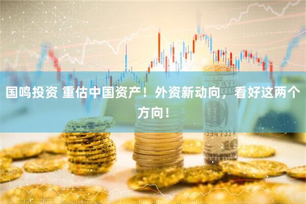 国鸣投资 重估中国资产！外资新动向，看好这两个方向！