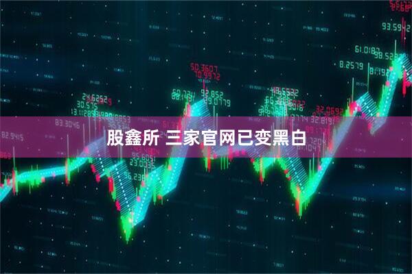 股鑫所 三家官网已变黑白