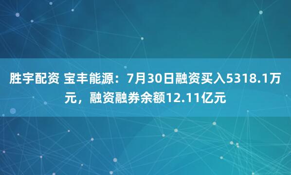 胜宇配资 宝丰能源：7月30日融资买入5318.1万元，融资融券余额12.11亿元