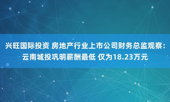 兴旺国际投资 房地产行业上市公司财务总监观察：云南城投巩明薪酬最低 仅为18.23万元