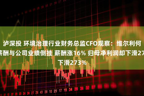泸深投 环境治理行业财务总监CFO观察：维尔利何健薪酬与公司业绩倒挂 薪酬涨16% 归母净利润却下滑273%