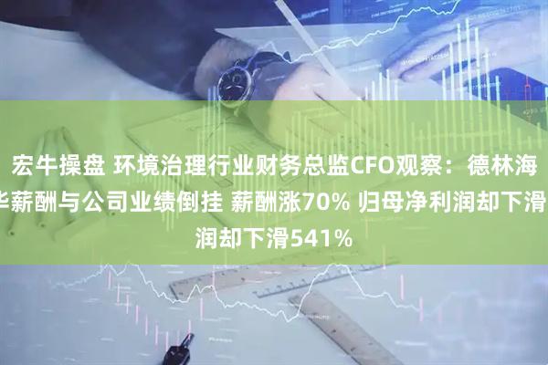 宏牛操盘 环境治理行业财务总监CFO观察：德林海季乐华薪酬与公司业绩倒挂 薪酬涨70% 归母净利润却下滑541%