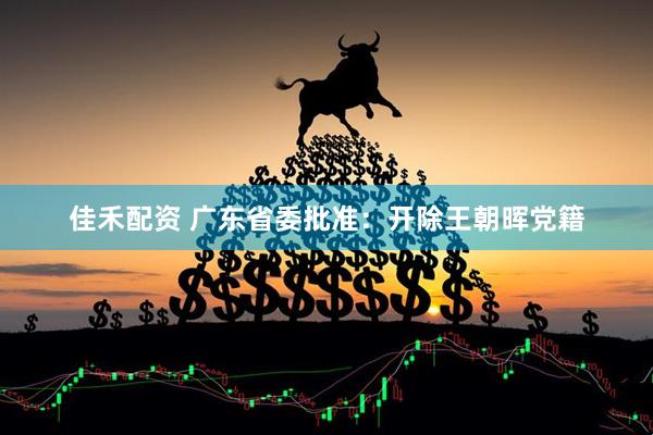佳禾配资 广东省委批准：开除王朝晖党籍
