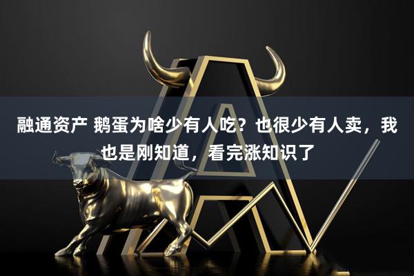融通资产 鹅蛋为啥少有人吃？也很少有人卖，我也是刚知道，看完涨知识了