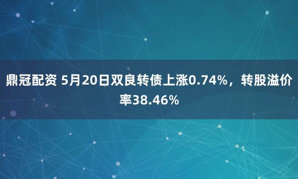 鼎冠配资 5月20日双良转债上涨0.74%，转股溢价率38.46%